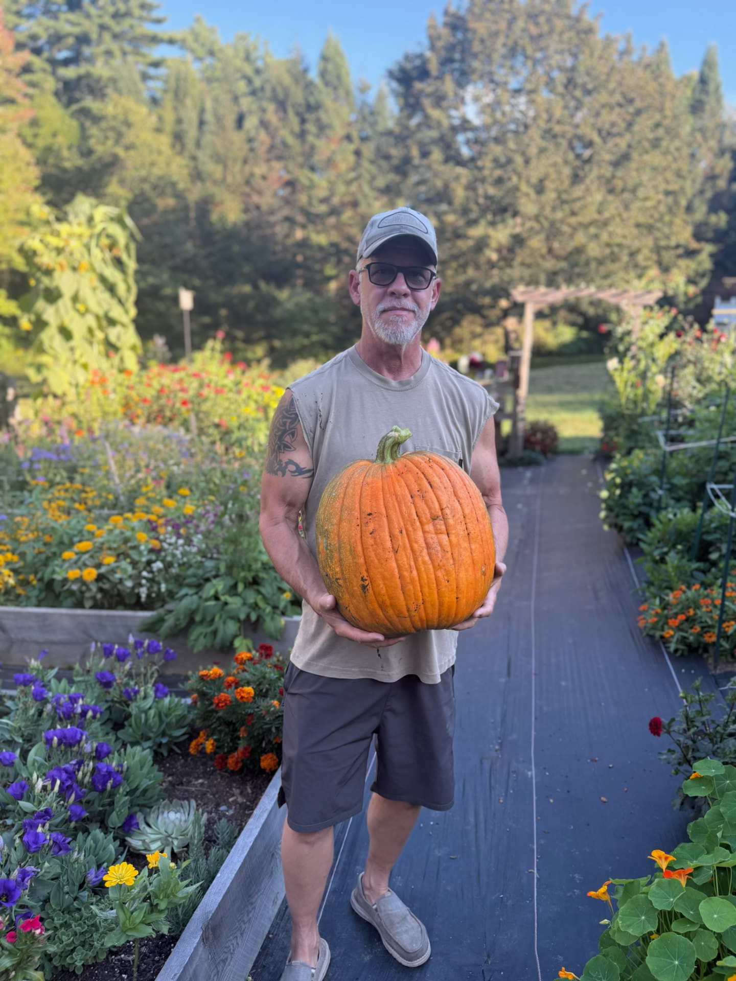 Tommy holding a giant pumpkin in the garden at Honey & Bloom Barn